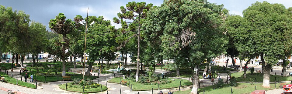 Concepción Plaza, Junín